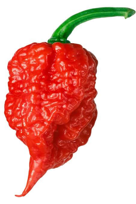 Carolina Reaper